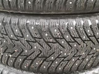 Nokian Hakkapelita8 205/60 R16
